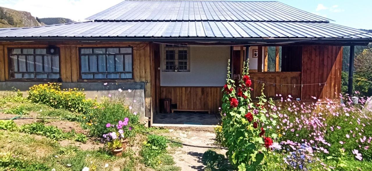 Guesthouse Sagrila Omalo エクステリア 写真